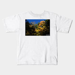 Fall Splendor and blue sky Kids T-Shirt